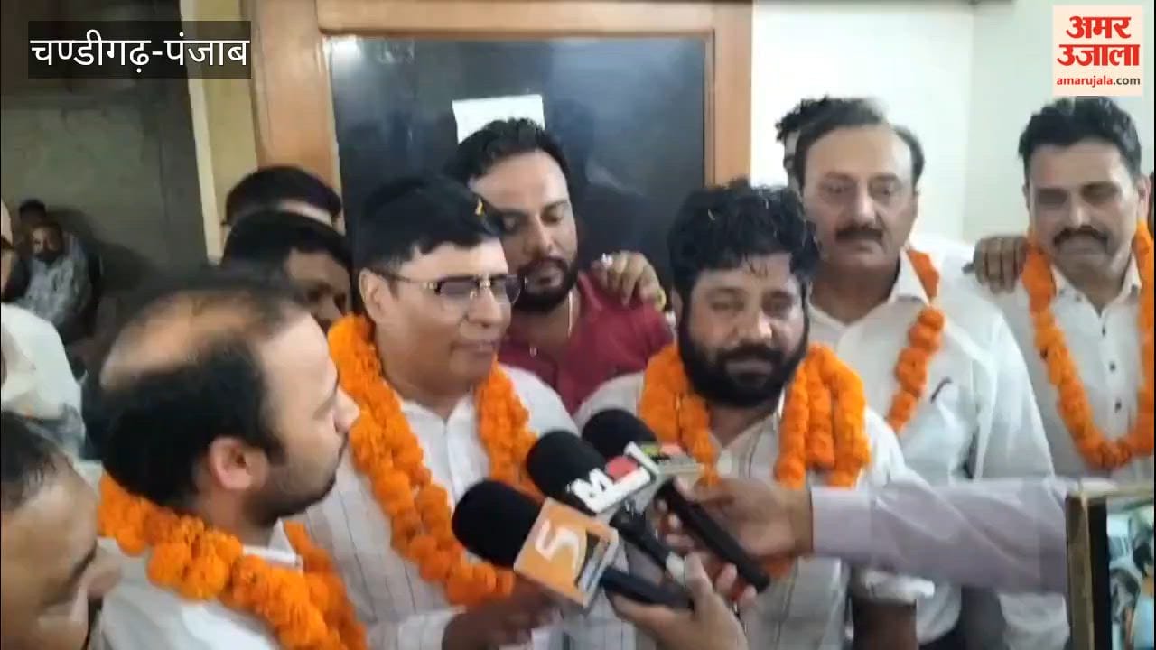 BJP's Surendra Babal becomes the President of Nayagaon Municipal Council.