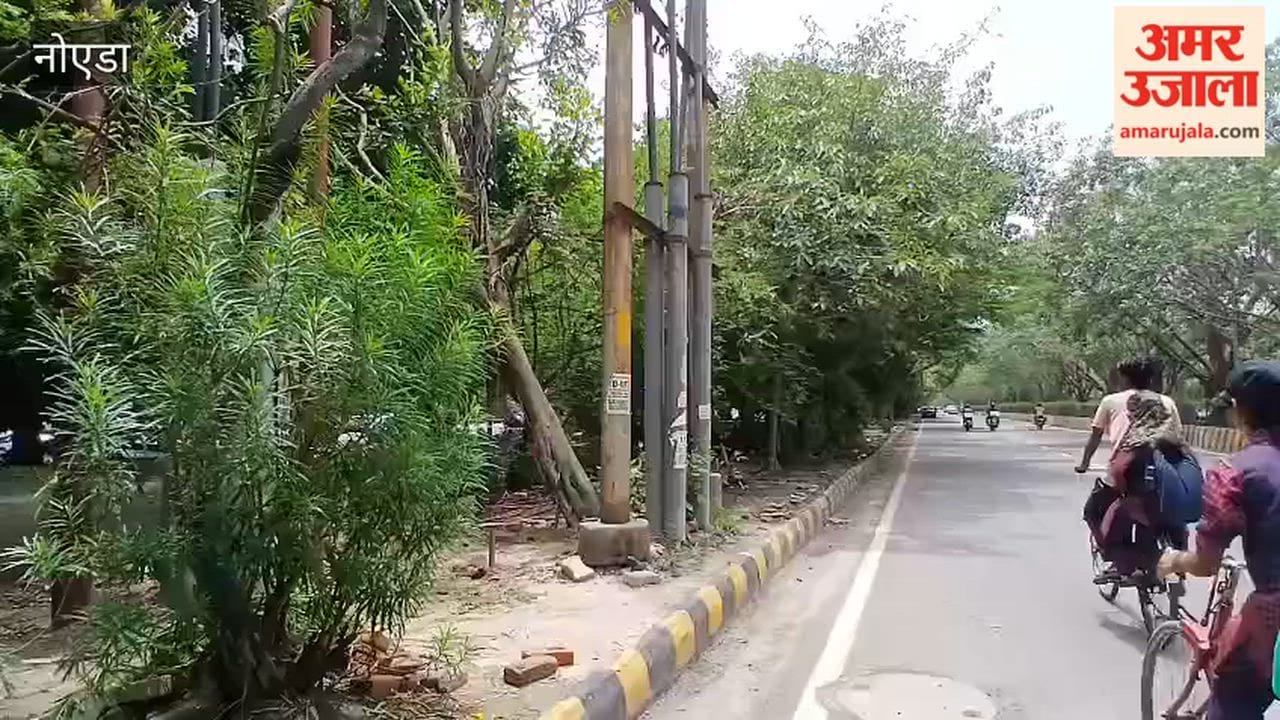 Cleaning of the Kundli drain in Noida Sector-50 has begun