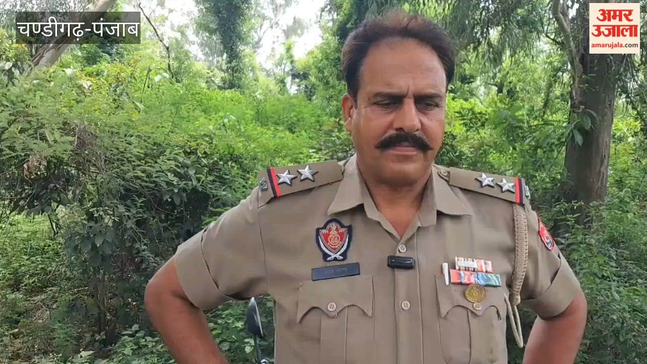Body of BPEO office clerk from Kanpur found hanging from a tree