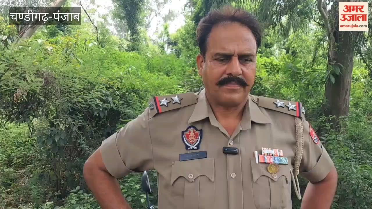 Body of BPEO office clerk from Kanpur found hanging from a tree