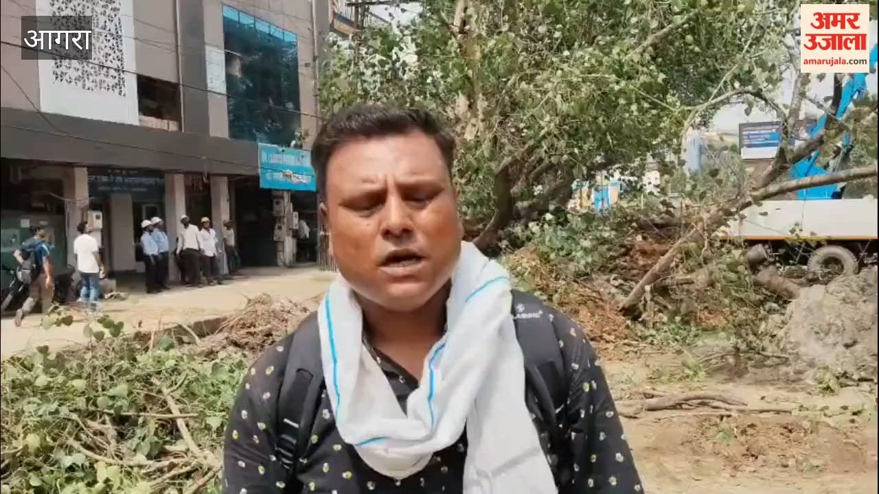 Fallen Tree on Delhi Gate Road Causes Hours-Long Traffic Snarl, Barricades Put Up at Hari Parvat Crossing