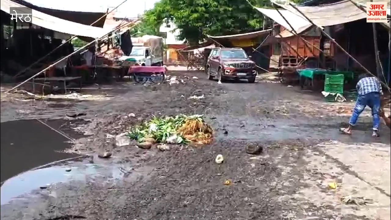 Meerut: Waterlogging and Filth Persist at Naveen Mandi Even After Rain Stops