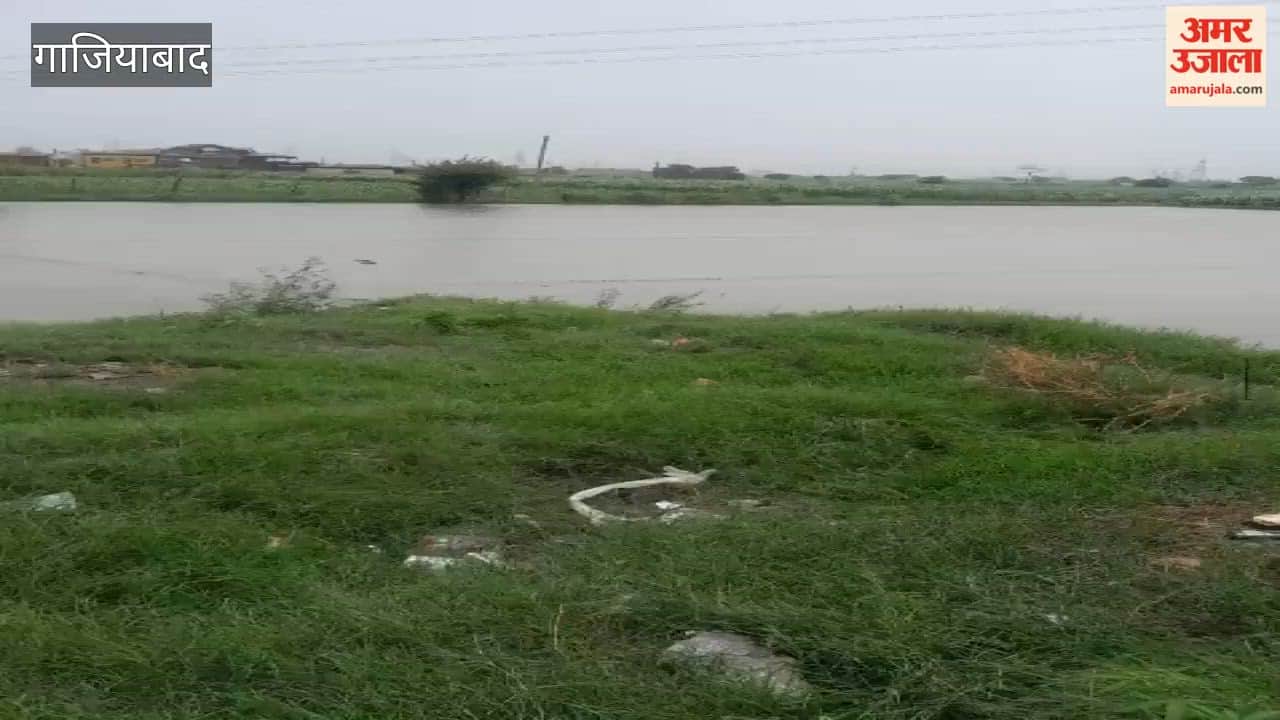 Rainwater floods fields in Muradnagar due to failure to clean drain