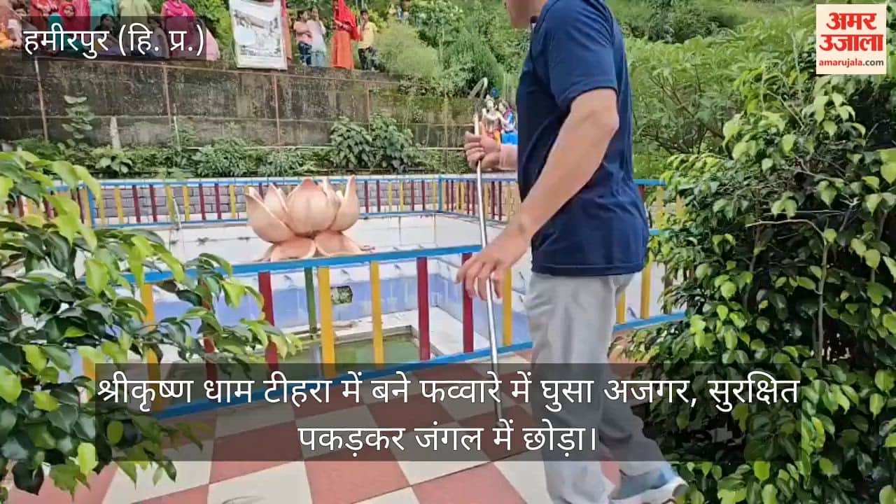 Python enters fountain at Krishna Dham, Teehra; safely captured and released into the forest.