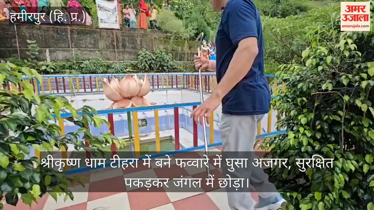 Python enters fountain at Krishna Dham, Teehra; safely captured and released into the forest.