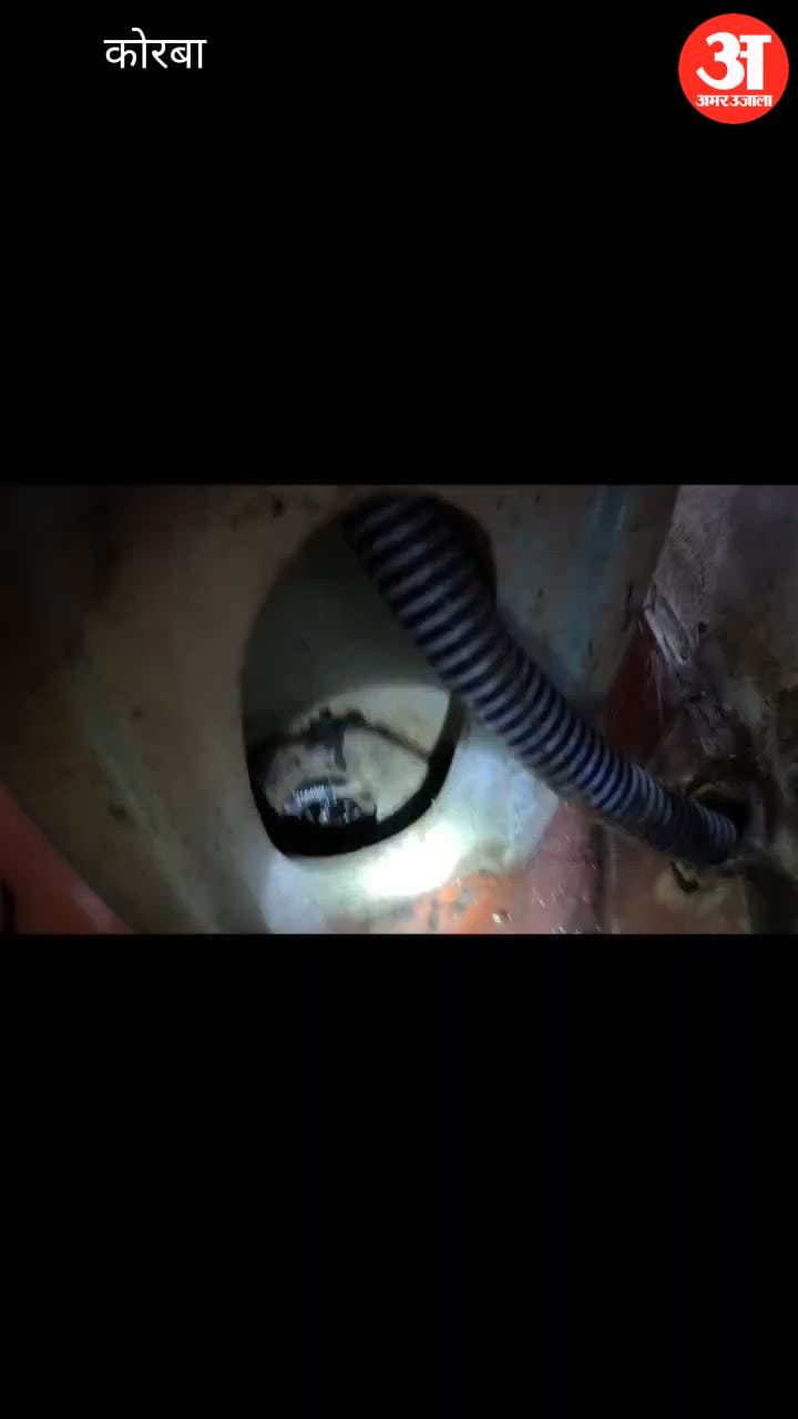 snake was rescued from house in Korba