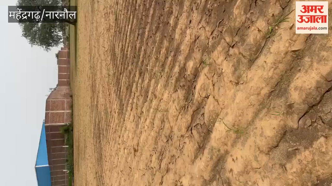 Narnaul: Allegations of negligence in underpass construction; cluster bean crop ruined due to waterlogging in the field.
