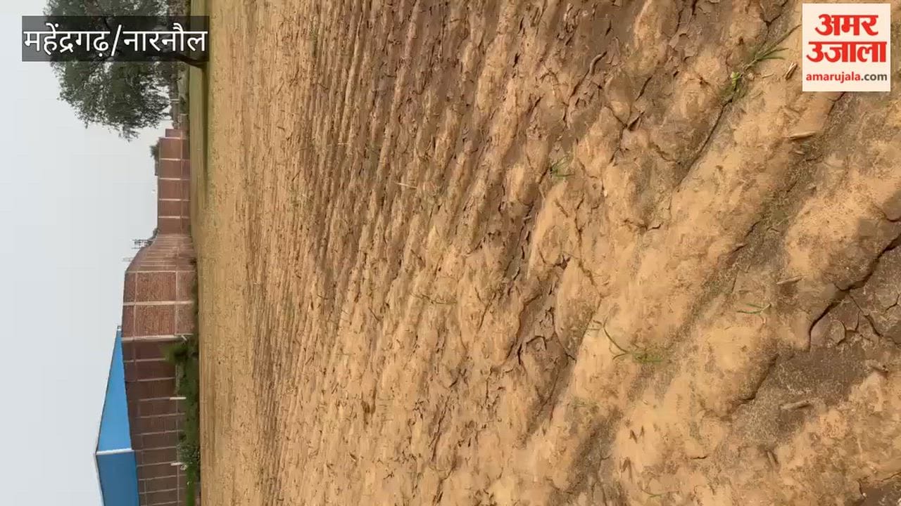 Narnaul: Allegations of negligence in underpass construction; cluster bean crop ruined due to waterlogging in the field.