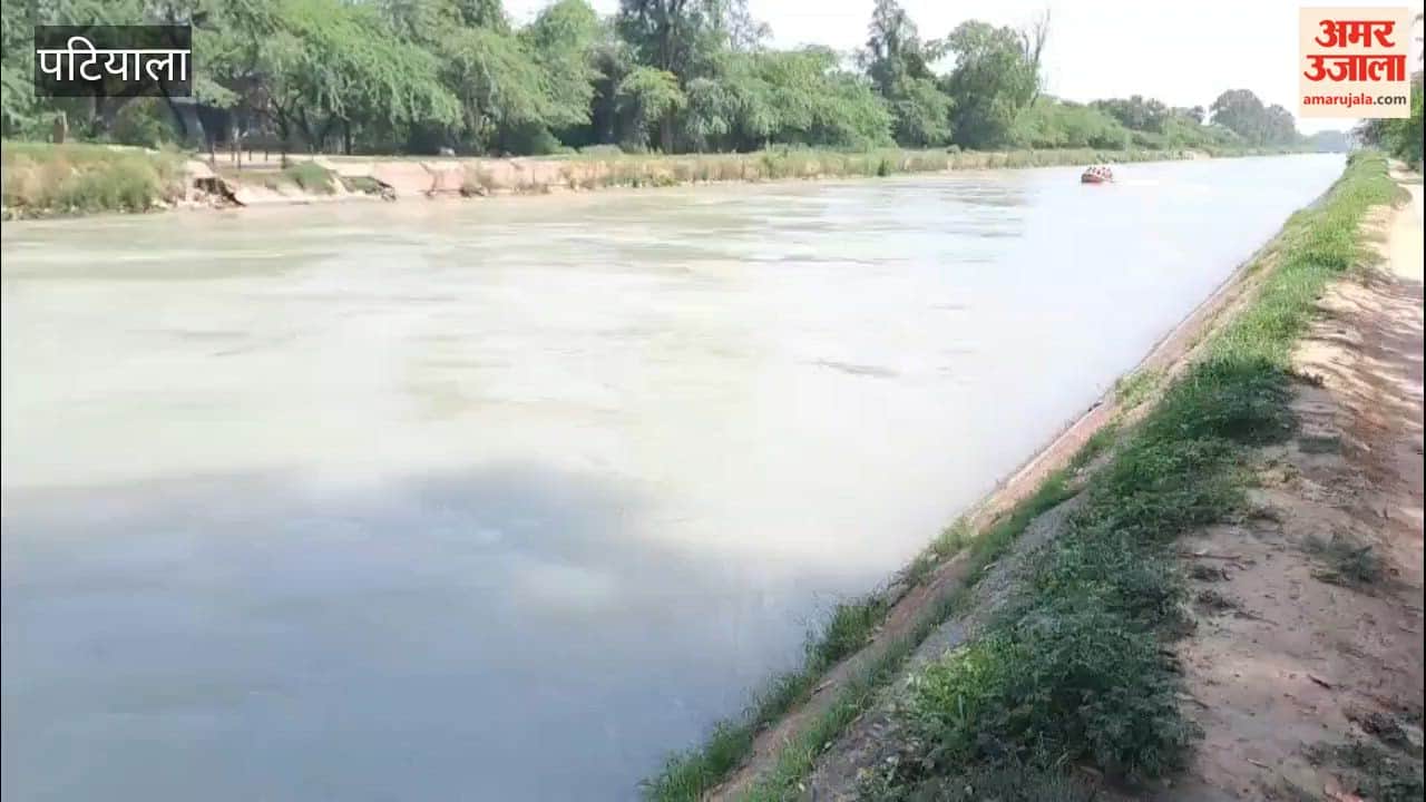Search continues for two youths who drowned in the Bhakra Canal; the incident occurred while they were bathing