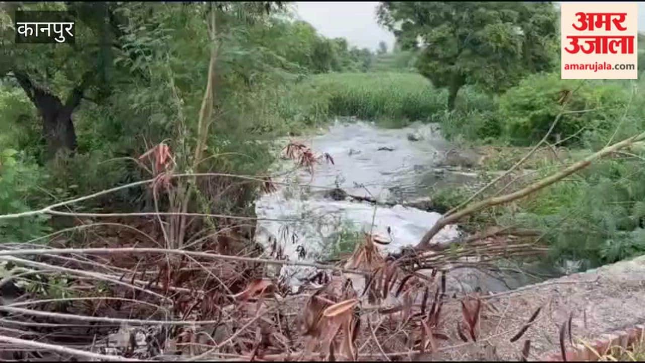 Kanpur: Wall of Sewage Plant Drain Collapses Again in Jajmau's Vyondi; Fields Submerged
