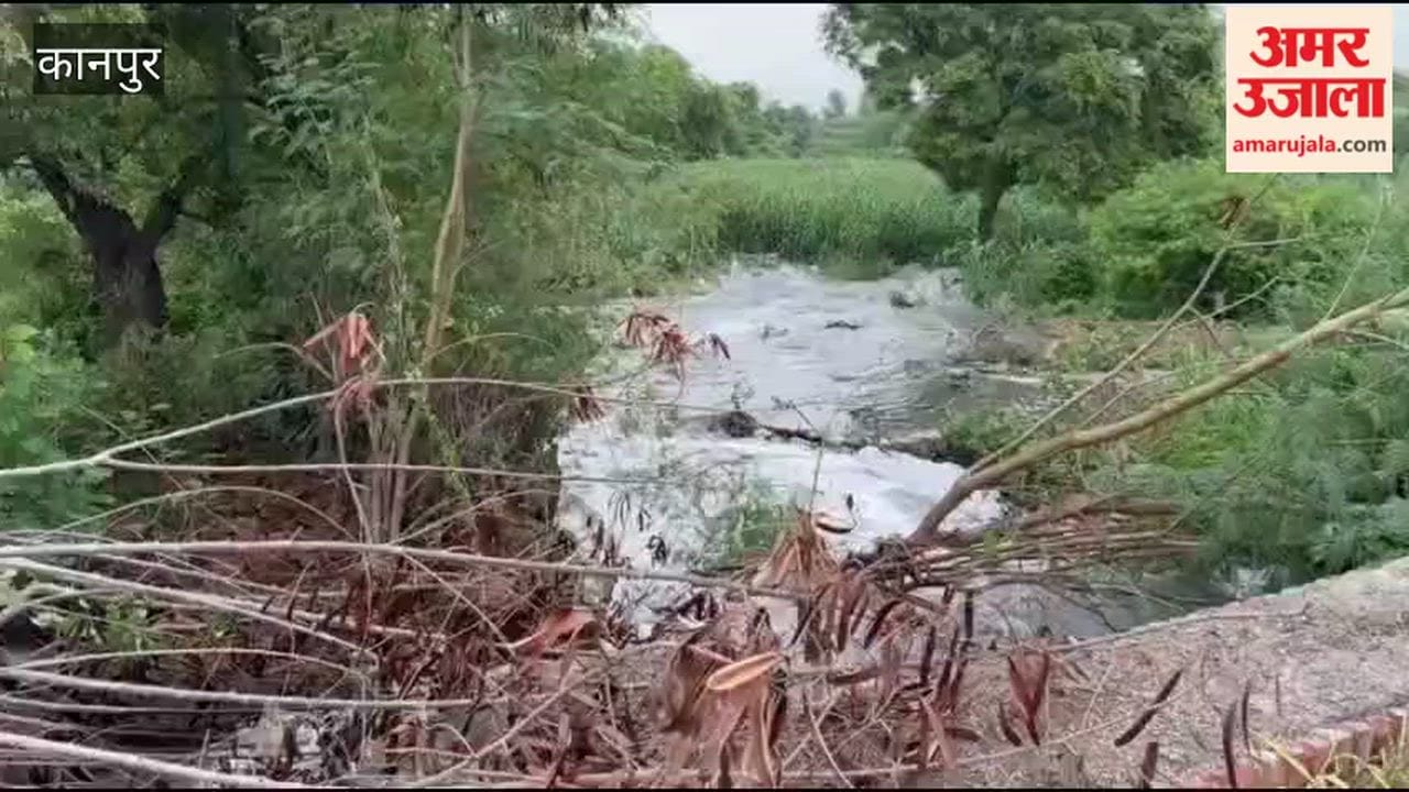Kanpur: Wall of Sewage Plant Drain Collapses Again in Jajmau's Vyondi; Fields Submerged