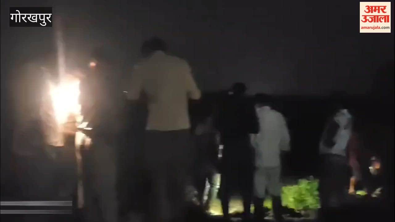 Elderly man dies after being hit by a train.