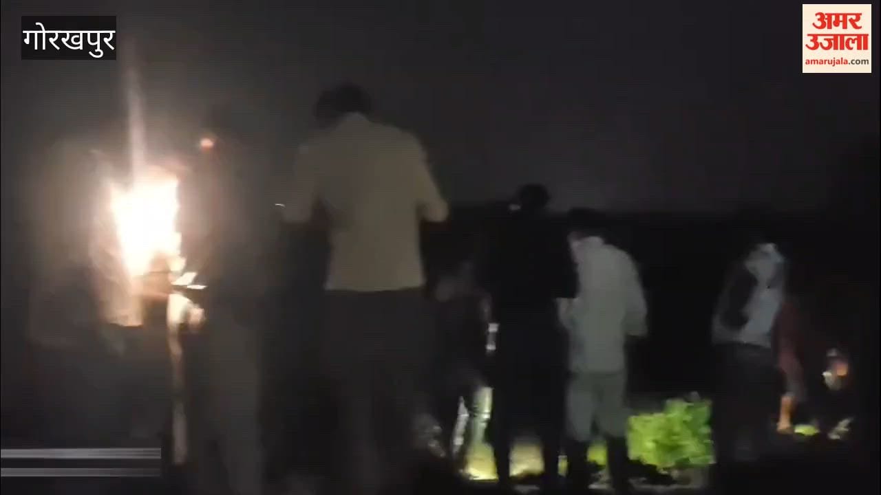 Elderly man dies after being hit by a train.