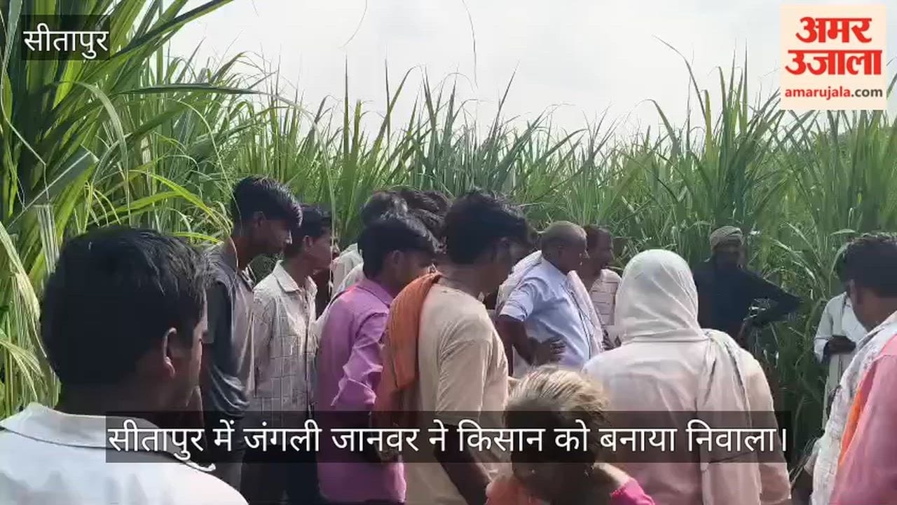 Video: सीतापुर में जंगली जानवर ने किसान को बनाया निवाला, क्षत विक्षत मिला शव