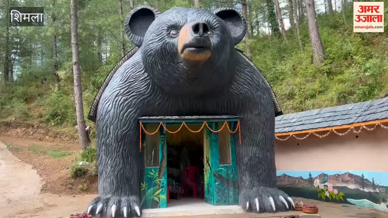 kamyana hill top nature trail shimla tourism attraction