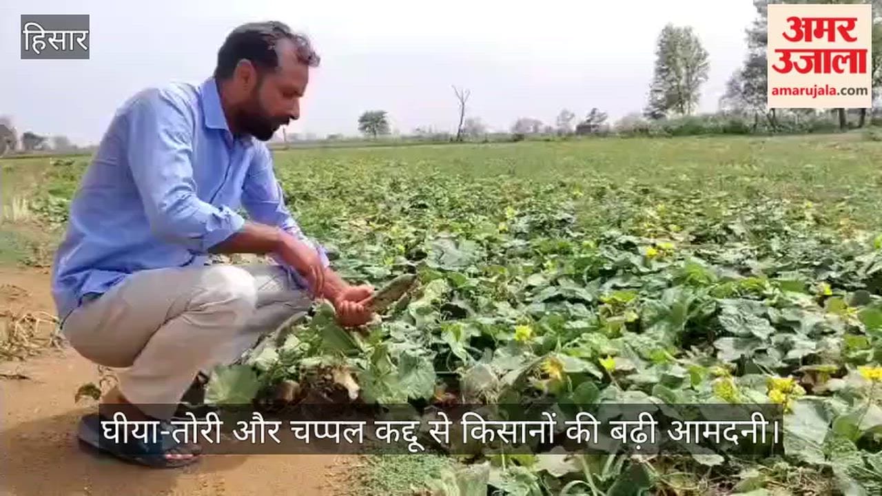 Hansi has emerged as Haryana's vegetable hub; vegetables from Hansi are now gaining recognition as a brand.