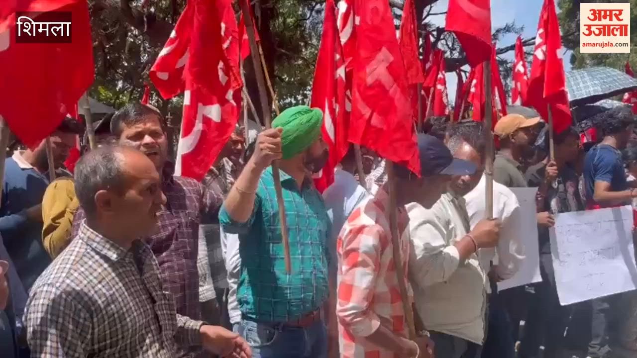 shimla street vendors protest against municipal corporation action citu himachal news