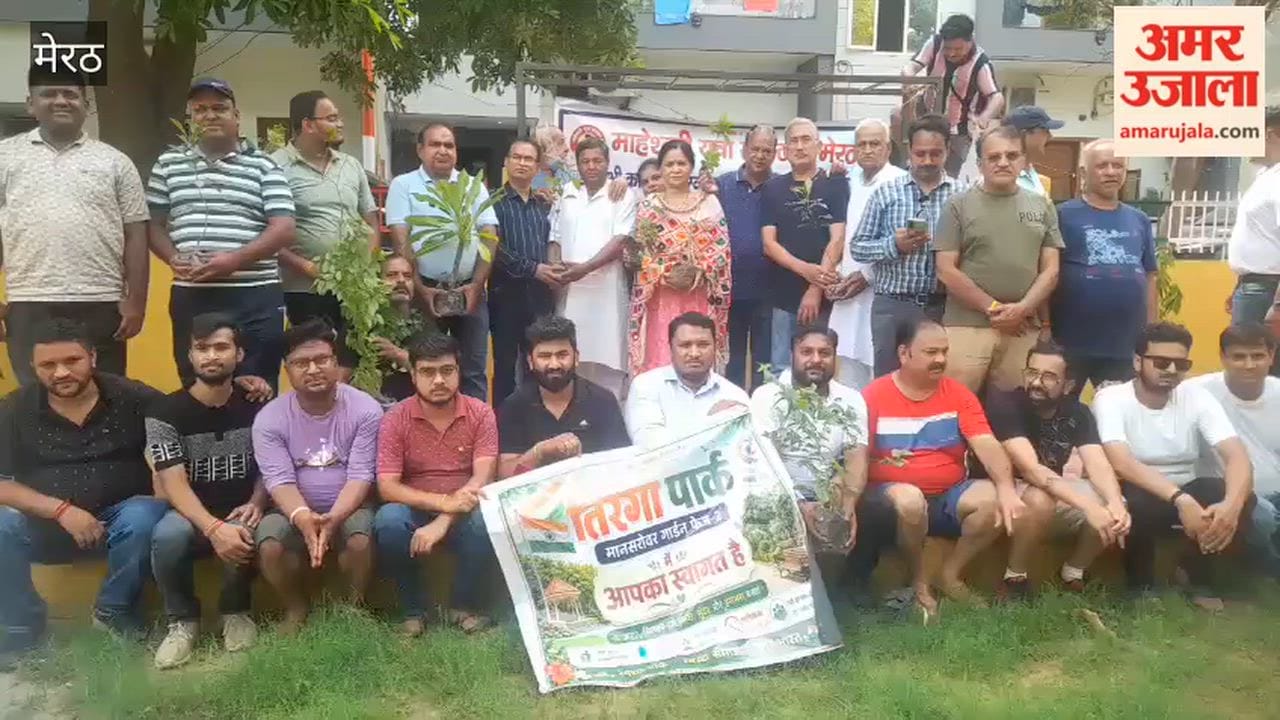 Meerut: Maheshwari Yuva Sangathan Organises Tree Plantation Drive Across the City