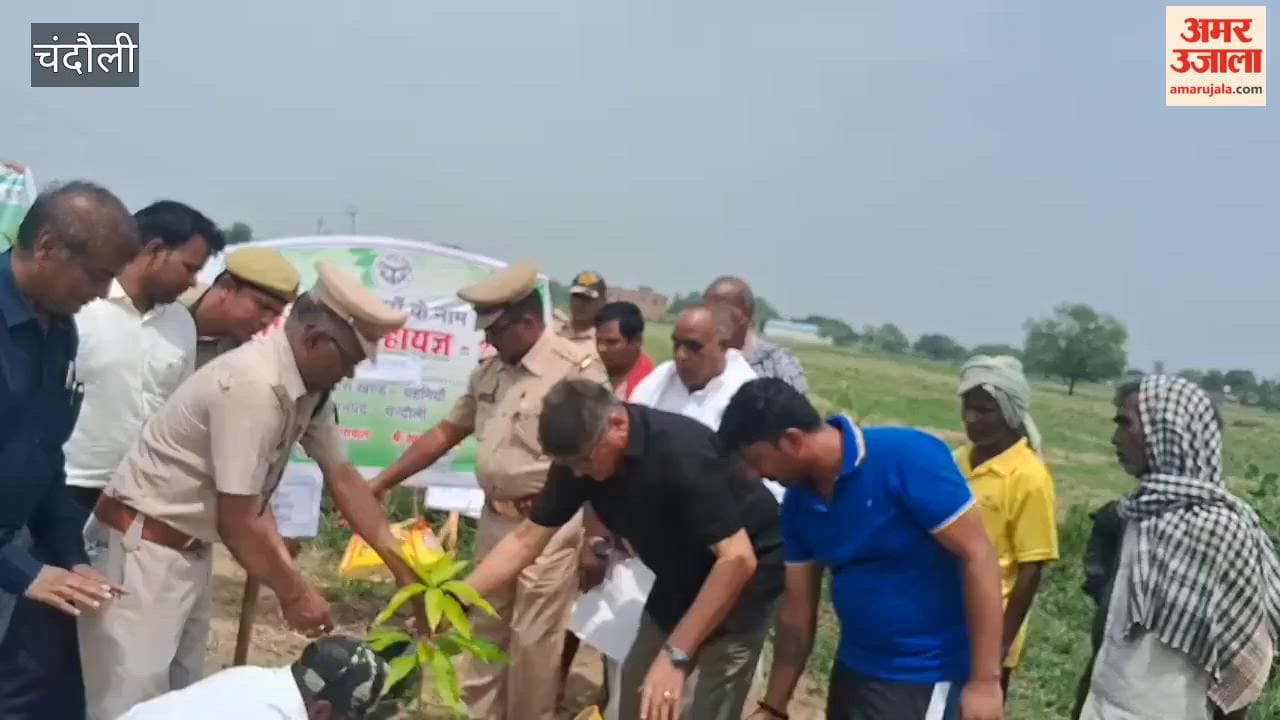 Tree planted in honor of mother