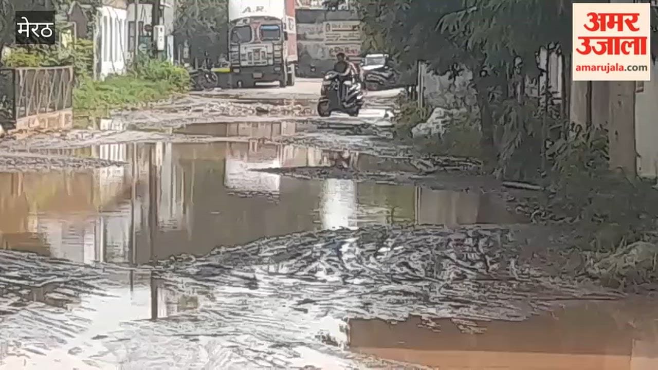 Meerut: Waterlogging in Mohkampur Industrial Area Disrupts Access to Nearby Colonies