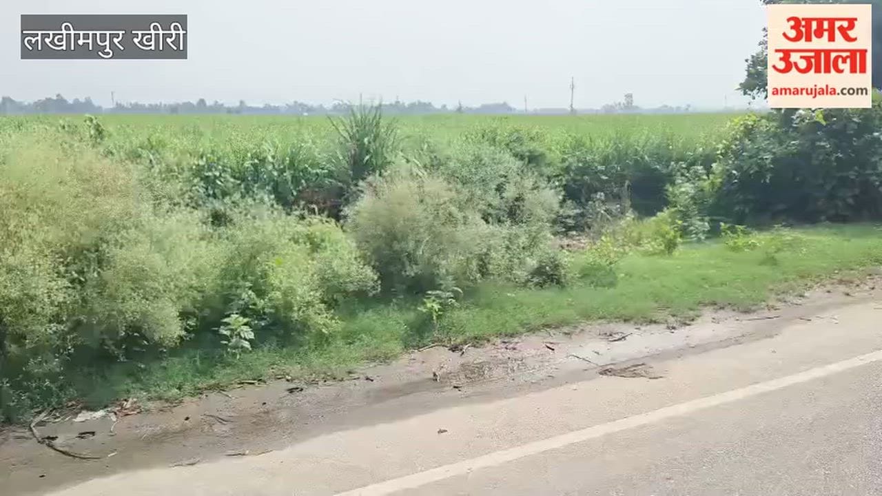 Body of a young man found hanging from a tree in Lakhimpur Kheri