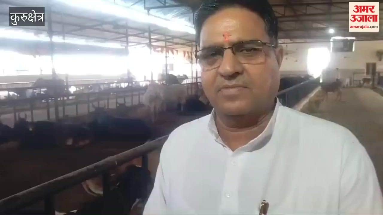 Kurukshetra: Mahadev Goshala takes steps towards cattle conservation; has adopted a model format.