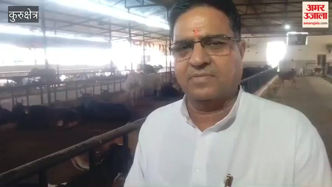 Kurukshetra: Mahadev Goshala takes steps towards cattle conservation; has adopted a model format.