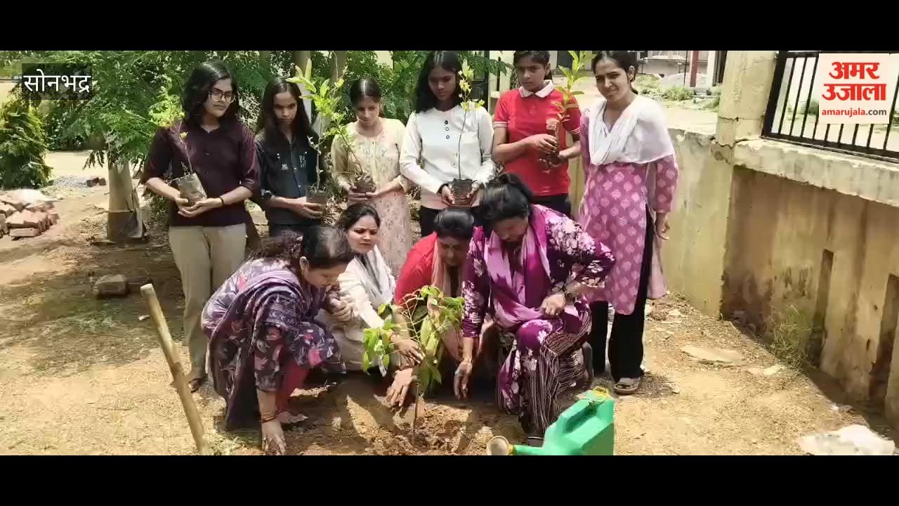 BJP workers plant saplings part massive plantation drive