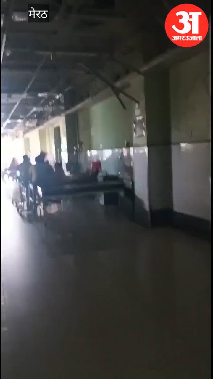 Meerut: एलएलआरएम मेडिकल कॉलेज के सुपर स्पेशलिटी ब्लॉक में बिजली गुल, हाथ के पंखे से हवा करते दिखे मरीज़ और तीमारदार, वीडियो वायरल