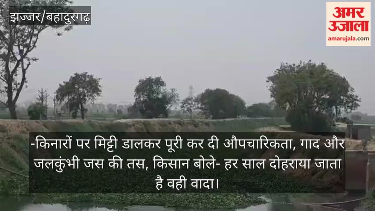Bahadurgarh: Sanitation exists only on paper; KCB drain choked with water hyacinth; fear of thousands of acres of crops being submerged again in Chhudani.