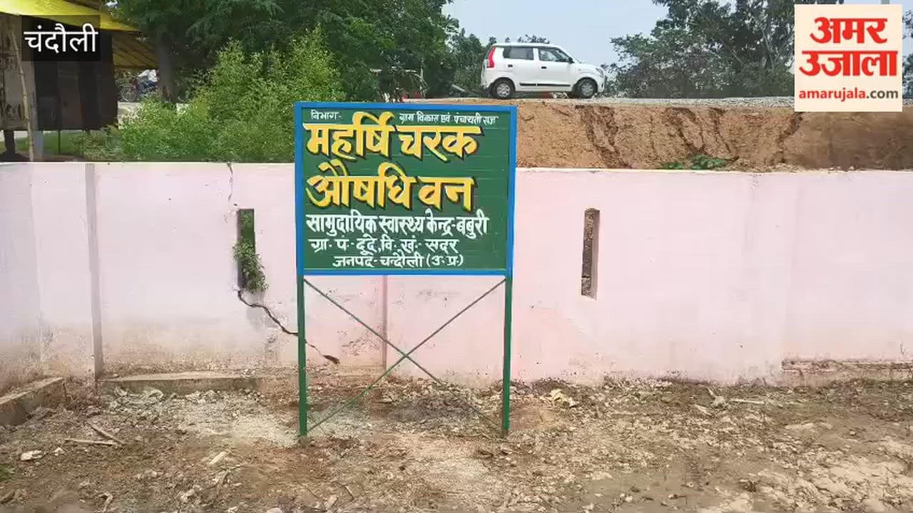 Tree plantation drive held at Baburi CHC premises; message of environmental conservation conveyed