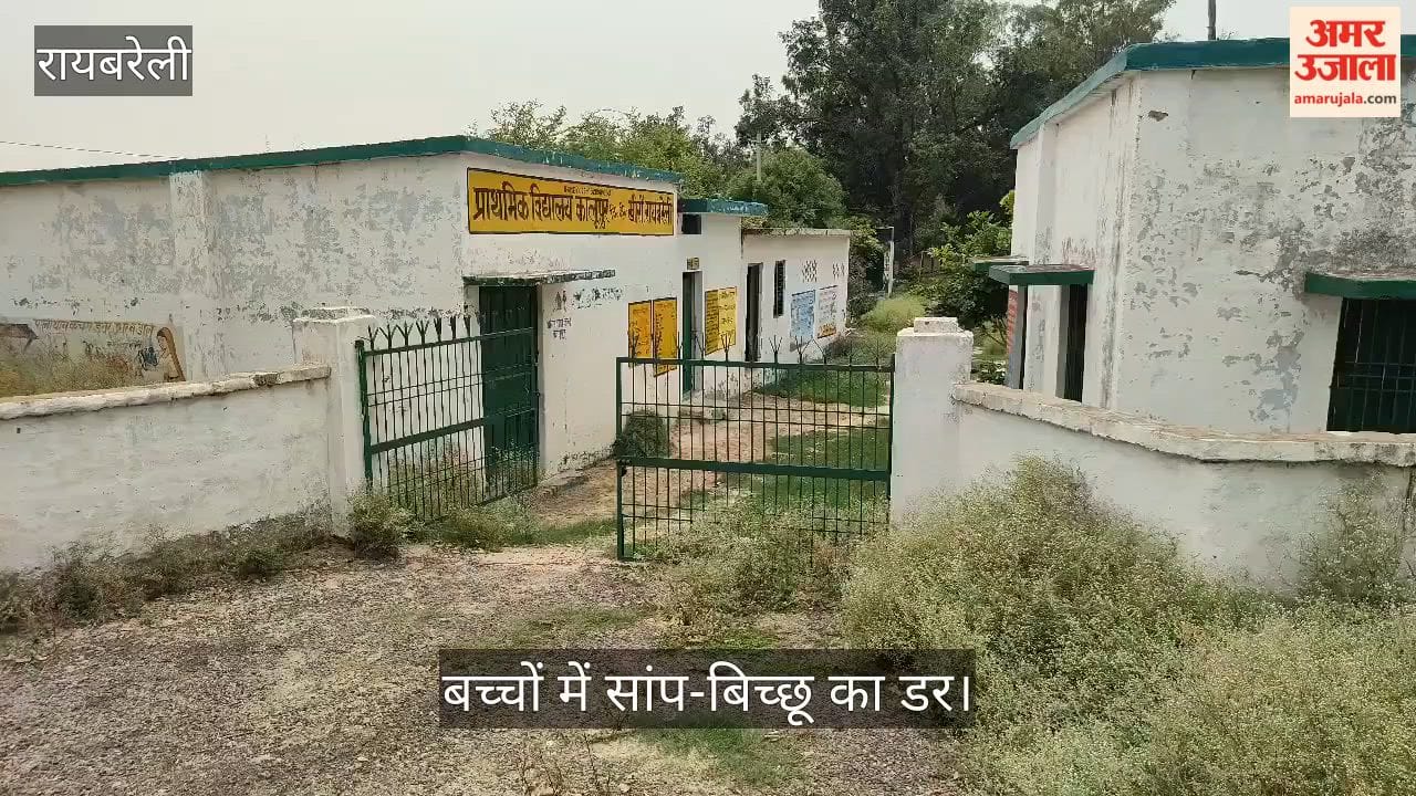 Video: रायबरेली के विद्यालय में उगी झाड़ियां, बच्चों में सांप-बिच्छू का डर