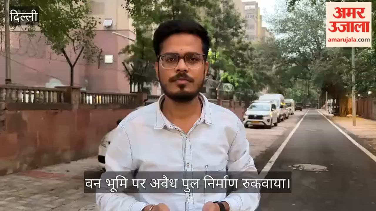 Halted the illegal construction of a bridge on forest land.