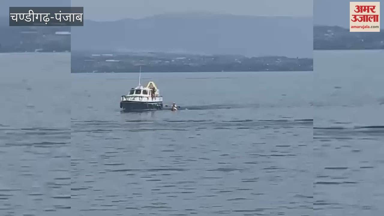 Vinayaka Mahajan From Pathankot Swims 13 Km In Switzerland Lake Geneva