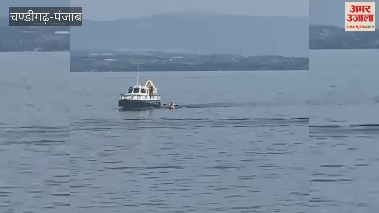 Vinayaka Mahajan From Pathankot Swims 13 Km In Switzerland Lake Geneva
