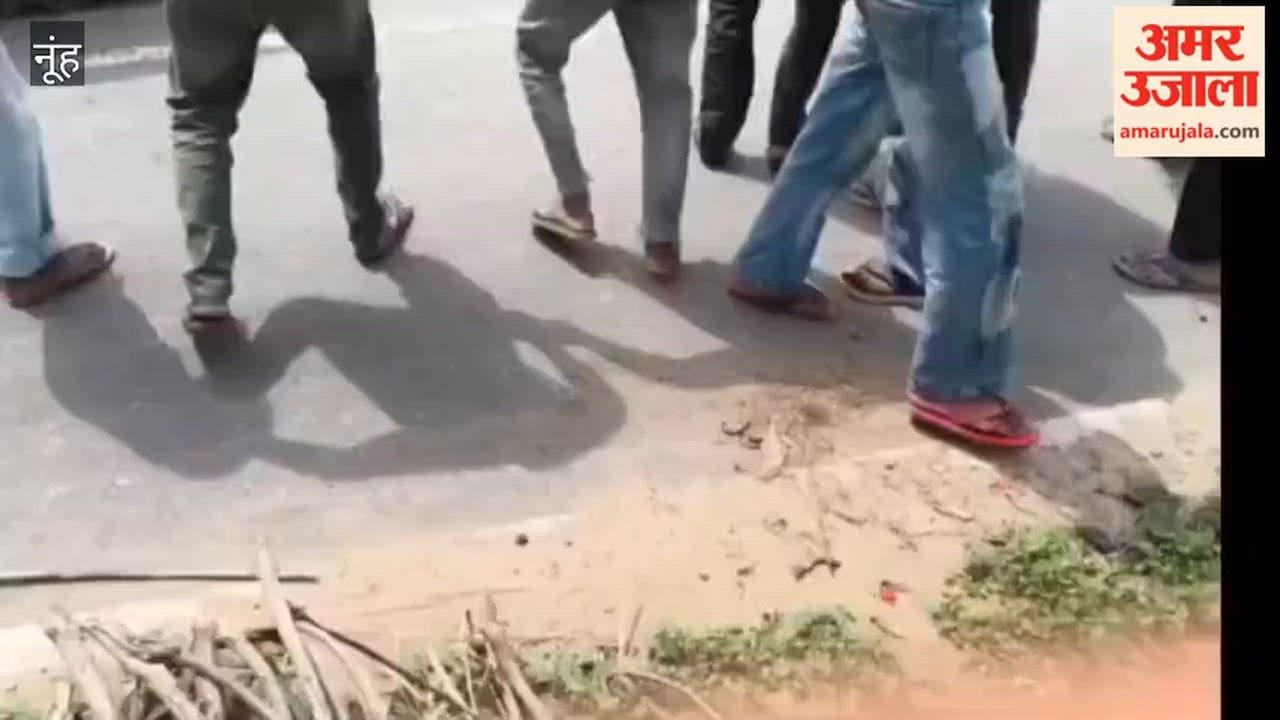 Video of a Thar and a tractor tied together with an iron chain to test their strength goes viral