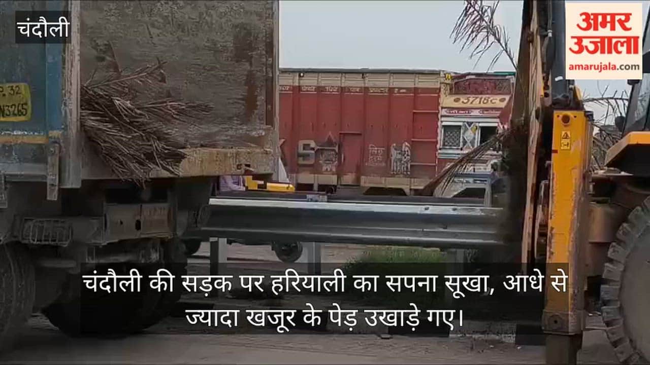 Dream of greenery along the ₹320-crore road in Chandauli withers; more than half the date palms uprooted