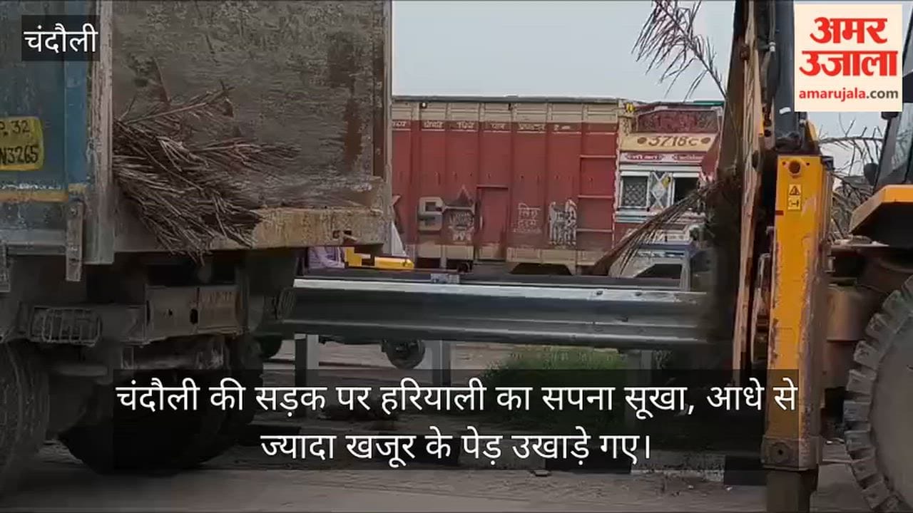 Dream of greenery along the ₹320-crore road in Chandauli withers; more than half the date palms uprooted