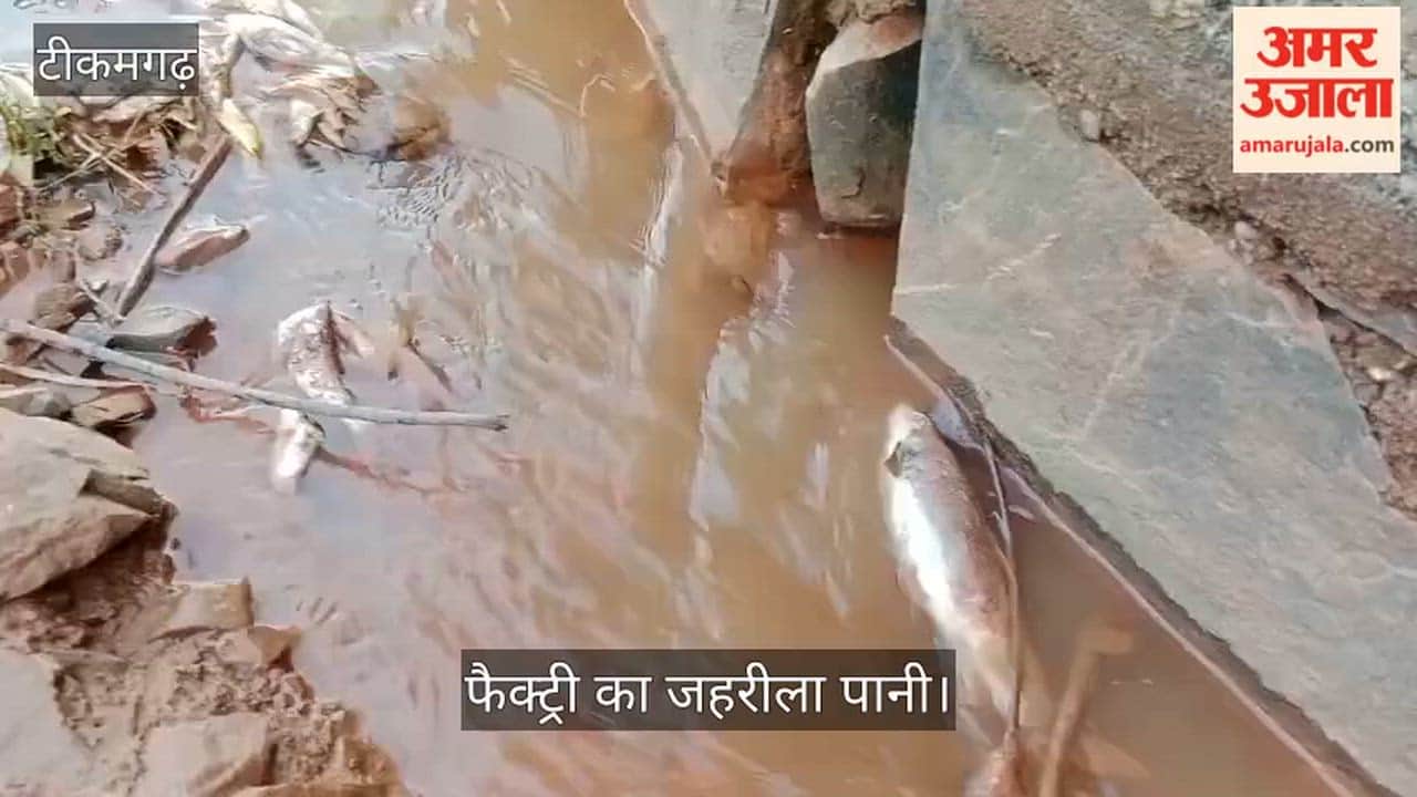 Toxic water is being discharged from the factory, causing fish to die; the SDM has ordered an investigation.