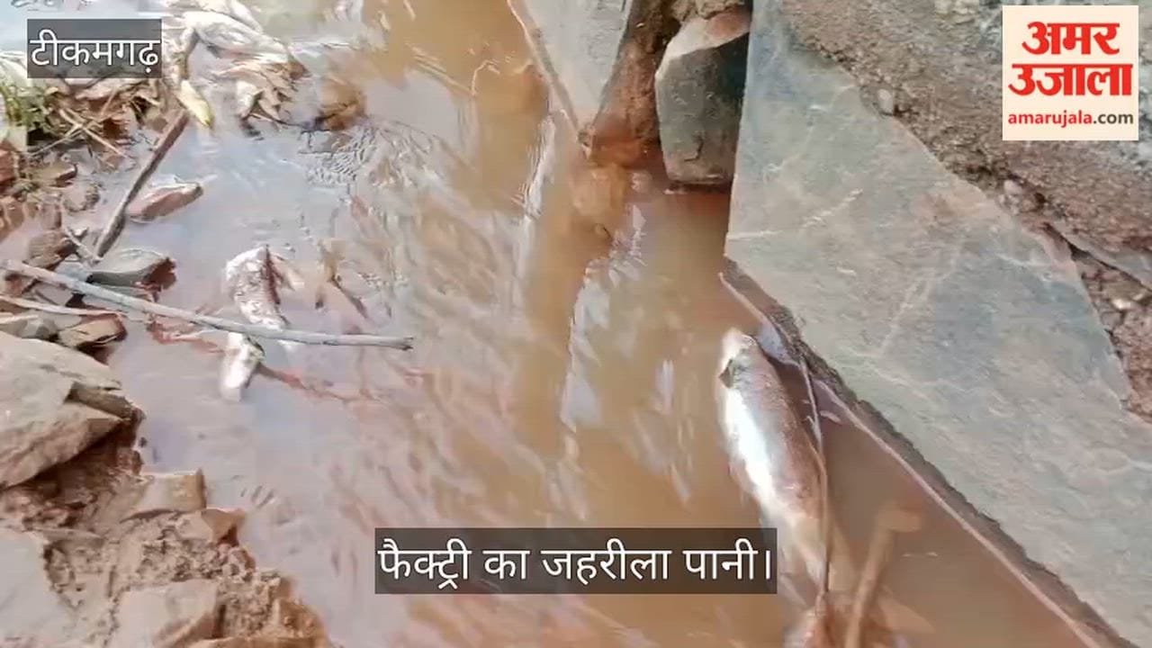 Toxic water is being discharged from the factory, causing fish to die; the SDM has ordered an investigation.