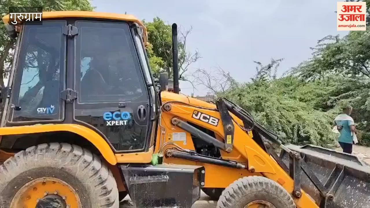 GMDA officials cut trees at Mahavir Chowk without permission from the Forest Department