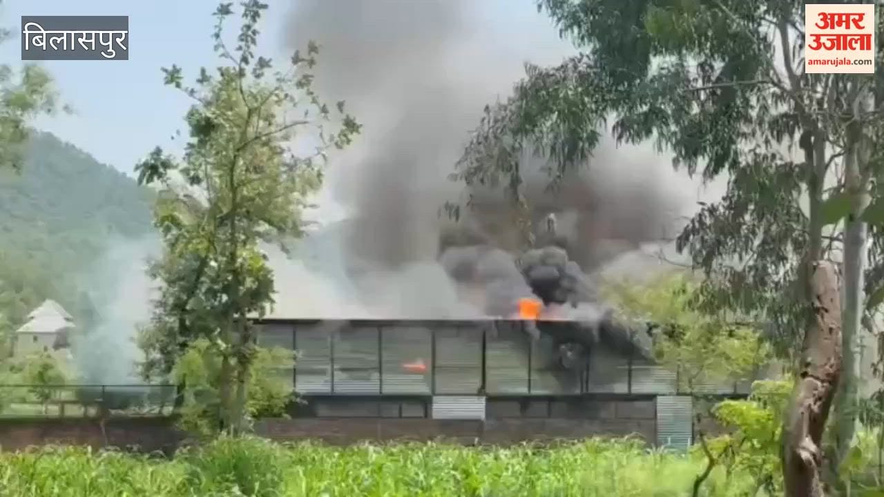 bilaspur jaddu animal shed fire five lakh loss rescue