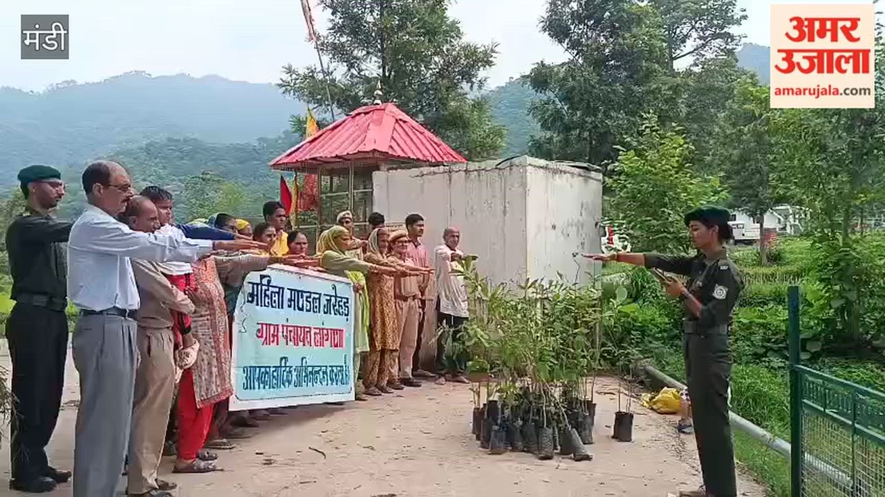 jan jan ka vriksh abhiyan jarehad jogindernagar tree plantation drive
