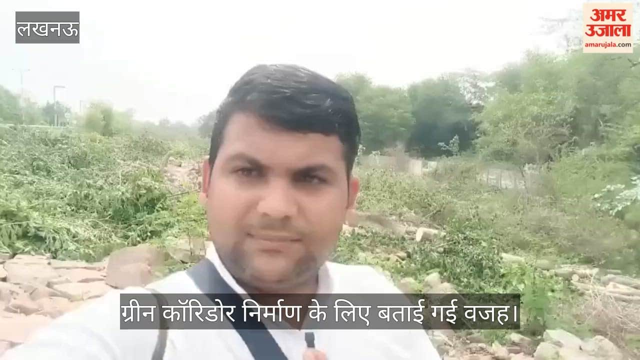 Video: जी-20 मार्ग पर हरे पेड़ों की कटाई, ग्रीन कॉरिडोर निर्माण के लिए बताई गई वजह