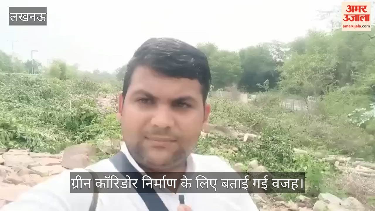 Video: जी-20 मार्ग पर हरे पेड़ों की कटाई, ग्रीन कॉरिडोर निर्माण के लिए बताई गई वजह
