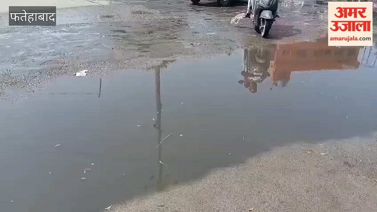 Tohana's Kainchi Chowk has become a hub of filth; the issue is caught in a tangle between three departments, leaving shopkeepers distressed and raising fears of disease due to contaminated water entering the supply lines.