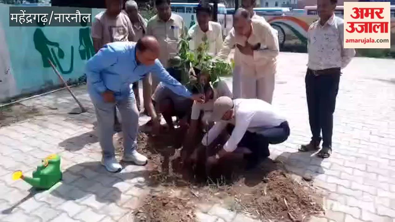 Tree plantation drive begins at Narnaul bus stand; target set to plant 200 saplings.