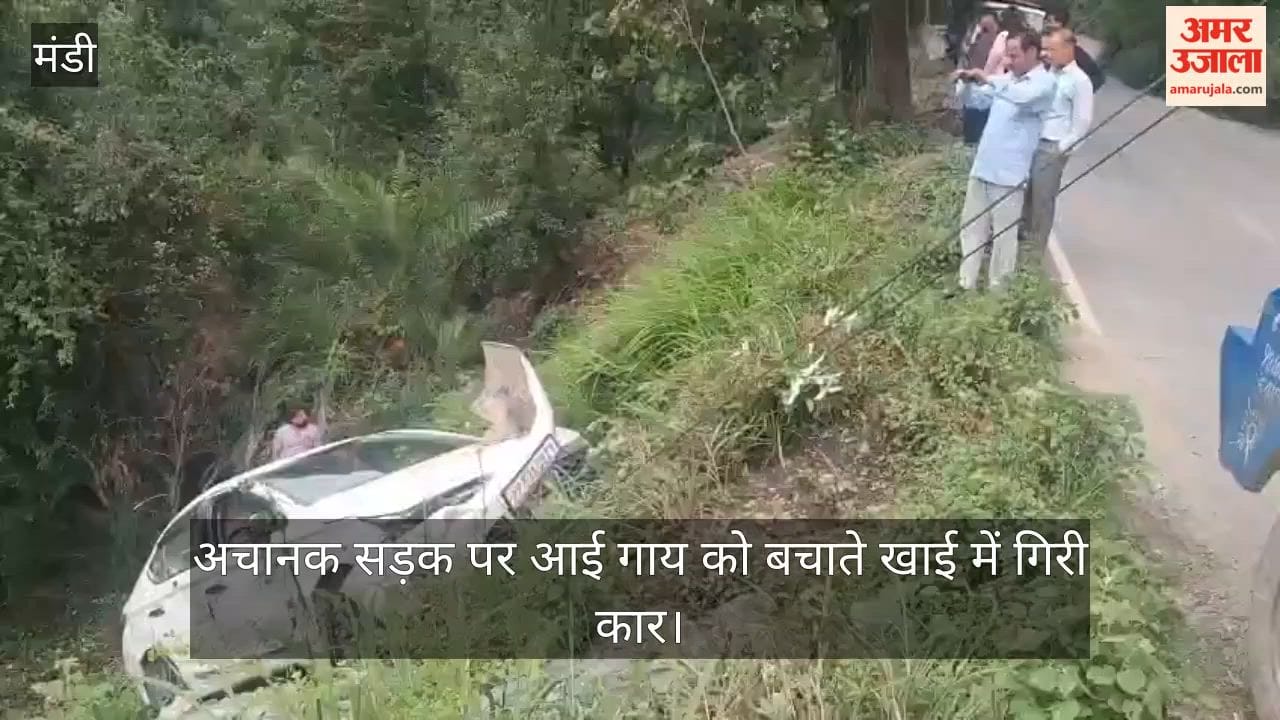 Car plunges into gorge while swerving to avoid cow that suddenly appeared on the road; three injured.