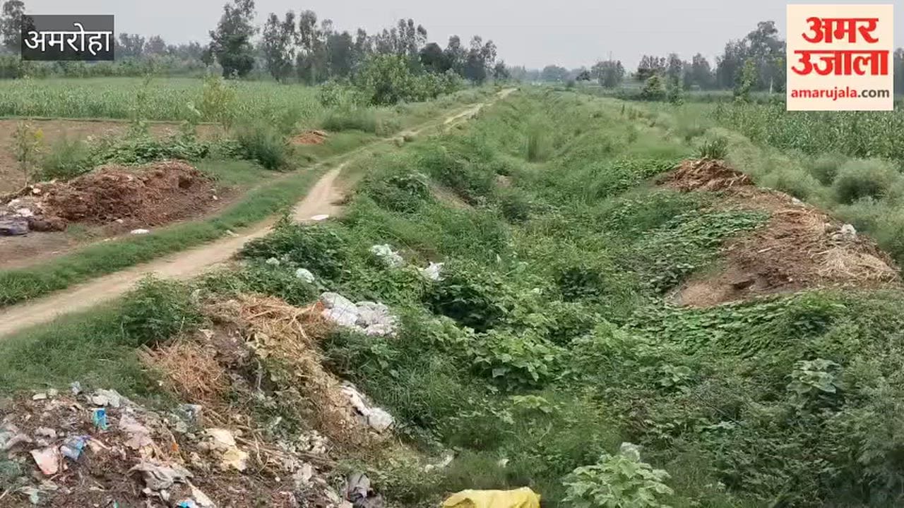 Let alone water reaching the canal, it hasn't even been cleaned yet.