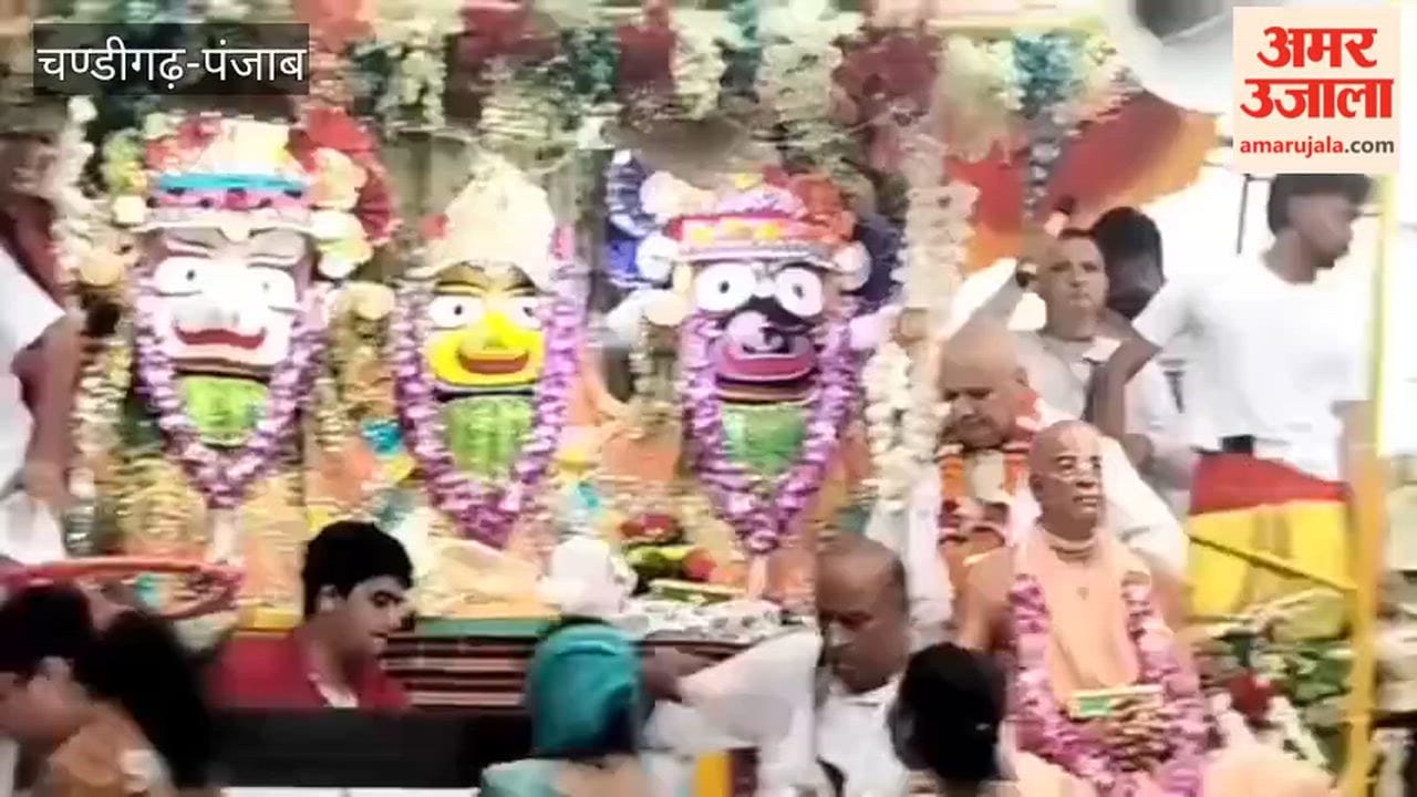 Lord Jagannath Rath Yatra taken out with great fanfare in Moga.
